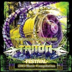 VA - Triton Festival: 2013 Music Compilation (2013)