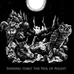 Sunset Wings - Shining Thro The Veil Of Night (2013)