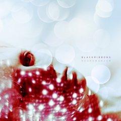 Black Ribbons - Neuromancer (2013)