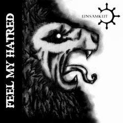 Einsamkeit - Feel My Hatred (2013)